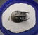 Fossil Trilobite : Harpes Perradiatus With Flying - 4