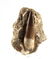 Perfect Plesiosaur Tooth : Zarafasaurus Orientalis