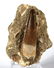 Perfect Plesiosaur Tooth : Zarafasaurus Orientalis - 2
