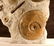 Highly Decorative Jurassic Graveyard - 2