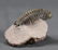 Fossil Trilobite Crotalocephalus Gibbus - 2