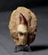 Huge Mosasaur Tooth : Prognatodon Anceps - 3
