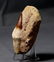 Huge Mosasaur Tooth : Prognatodon Anceps - 5