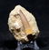 Perfect Plesiosaur Tooth : Zarafasaurus Orientalis - 2