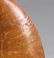 Big African T-rex Dinosaur Tooth : Carcharodontosaurus - 2