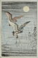 Artist: Tsuchiya KOITSU Subject: Ducks descending - 2