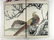Title: A Book of Drawings of Flowers and Birds by - 3
