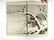 Title: A Book of Drawings of Flowers and Birds by - 5