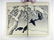 Title: A Book of Drawings of Flowers and Birds by - 7