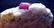 600 Grams Beautiful Top Quality Red Ruby Specimen from - 2
