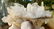 193.4 Grams Undamaged Fedan Quartz Crystal 98X77X50 mm