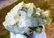 184.1 Chlorine Quartz Crystals Cluster - 89X65X50 mm - 4