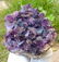 286.5 Grams Natural Amethyst Crystals Cluster 84X75X34 - 4