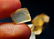 Natural & unheated~Orange Brown Topaz Rough Lot - 8