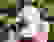 item-85101231=3