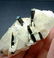 117 Gram Very Beautiful And Well Terminated Natural - 4