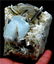 Aquamarine Specimen , Terminated Damage Free Natural - 3