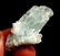 11 Grams Top Quality Rare Apple Green Herderite On - 2