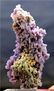 Grape Agate Chalcedony Specimen , Botryoidal Chalcedony - 5