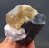 205 Gram Blue Cap Tourmaline with Pink Lepidolite & - 10