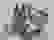 item-85104584=6