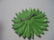 Vintage 1960's Huge Bright Green Daisy/Dahlia Brooch, - 3