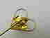 item-85104623=7