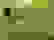 item-85104627=6