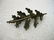 Vintage Sterling Silver Oak Leaf Brooch, signed SCF, S.