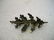 Vintage Sterling Silver Oak Leaf Brooch, signed SCF, S. - 2