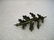 Vintage Sterling Silver Oak Leaf Brooch, signed SCF, S. - 3
