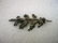 Vintage Sterling Silver Oak Leaf Brooch, signed SCF, S. - 4