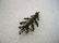 Vintage Sterling Silver Oak Leaf Brooch, signed SCF, S. - 5