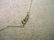 10kt Yellow Gold Open Heart Pendant with 5 Graduated - 6