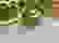 item-85104807=5