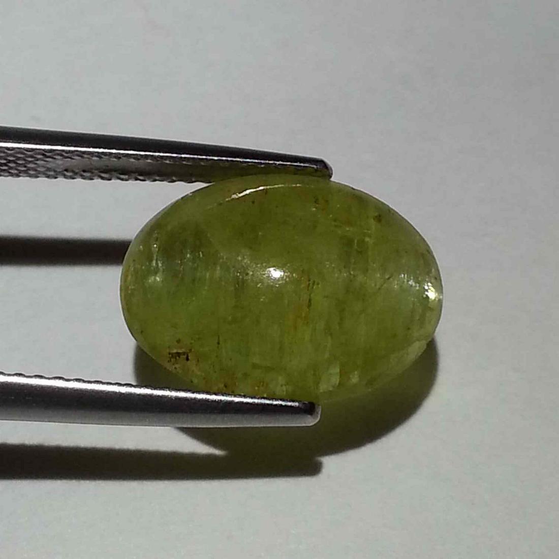 10.50 ct Natural Apatite cat's Eye: No Reserve! Title: 10.50 ct Natural Apatite cat's Eye Color/Clarity: Semi Transparent Gemstones: Loosegemstone Carat Weights: 10.5 Size/Dimensions: 14.80 x 11.10 x 7.60 Additional Information: Oval - 