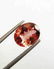 Tourmaline Certified - 3.35 ct - 5
