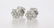 14 kt. White gold - Earrings Diamond - 2