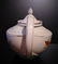 Hall's Autum Leaf Aladdin Teapot w/ Infuser - 4