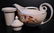 Hall's Autum Leaf Aladdin Teapot w/ Infuser - 8