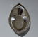 18th Century Antique George III Sterling Silver Sweet - 4