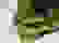 item-85179532=5