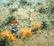 60s French Oil Painting Girls Pick Flowers A Gisson - 2