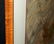 86 Hawaii Koa Print "Woman & Calabash" Y Cheng - 6