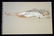 Painting Hawaii Sleeping Nude Elaine Snowden Hodge