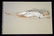 Painting Hawaii Sleeping Nude Elaine Snowden Hodge - 2