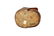 40s Art Deco Hawaiian Madonna Wood Carving - 8