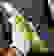 item-85344448=2