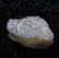 2.4 CT STAR SAPPHIRE - UNTREATED GEMSTONE - 5