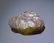 2.4 CT STAR SAPPHIRE - UNTREATED GEMSTONE - 6